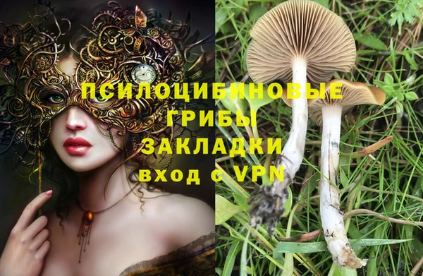 винт Аркадак