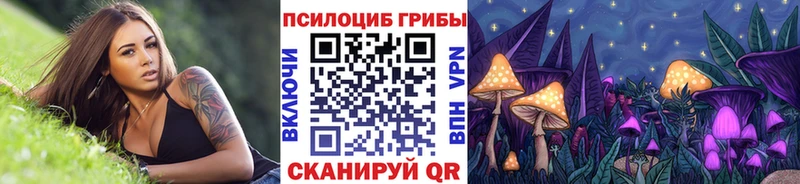 сколько стоит  маркетплейс формула  Псилоцибиновые грибы Cubensis  Тетюши  hydra ссылки 